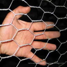 High Quality Hot Dipped Galvanized Hexagonal Chicken Wire Netting